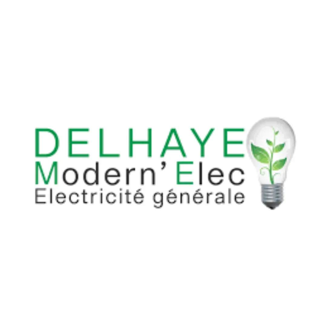 Delhaye Modern Elec